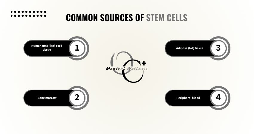 Common Sources of Stem Cells