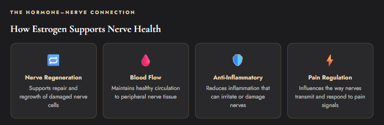 The Connection Between Hormones and Nerve Health