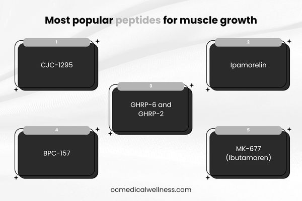 Most popular peptides for muscle growth