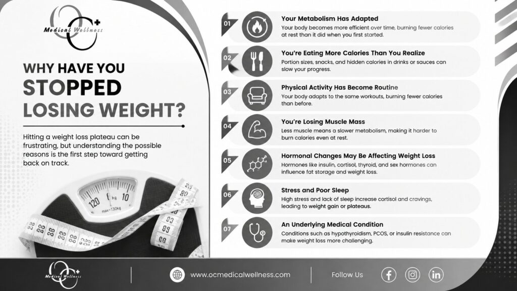 Why Have You Stopped Losing Weight
